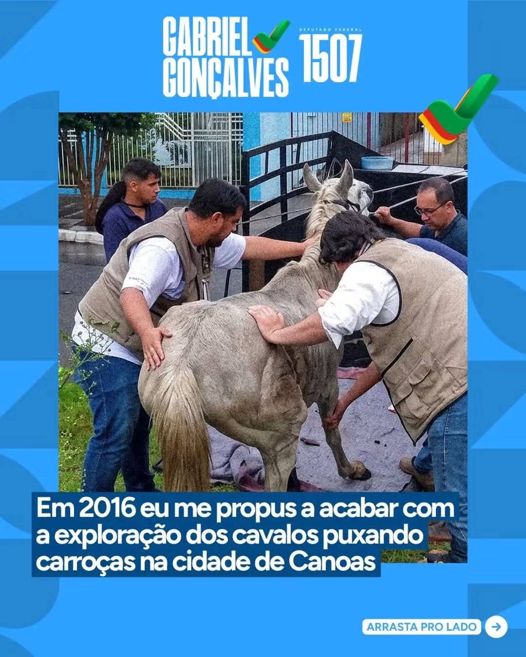 Imagem provisória da galeria 2