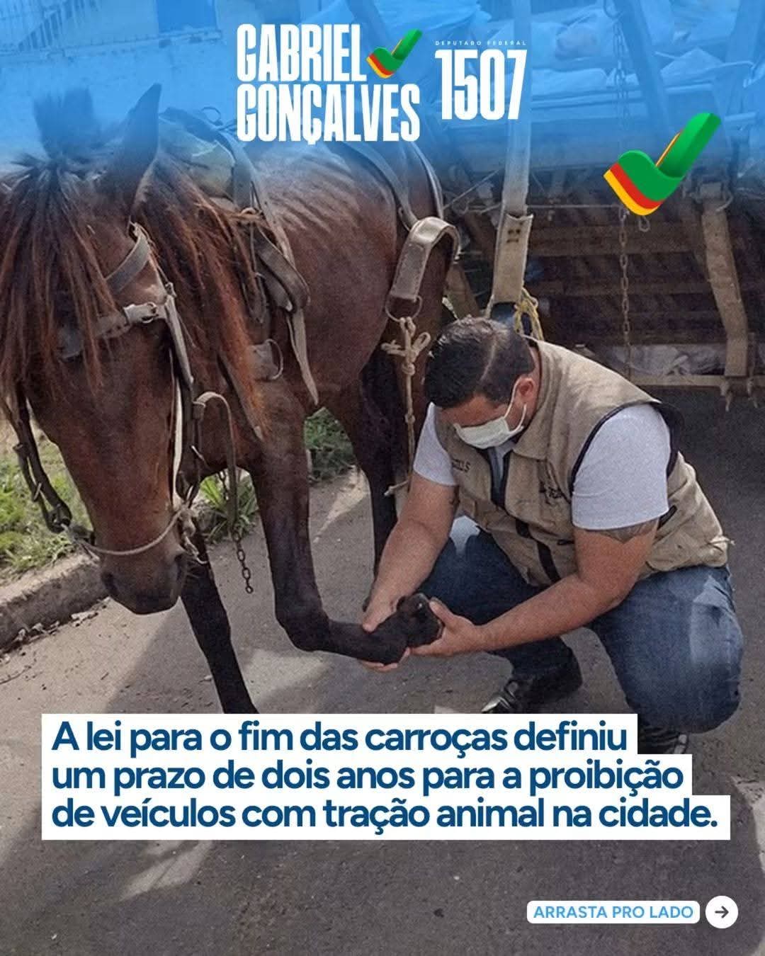Imagem provisória da galeria 3